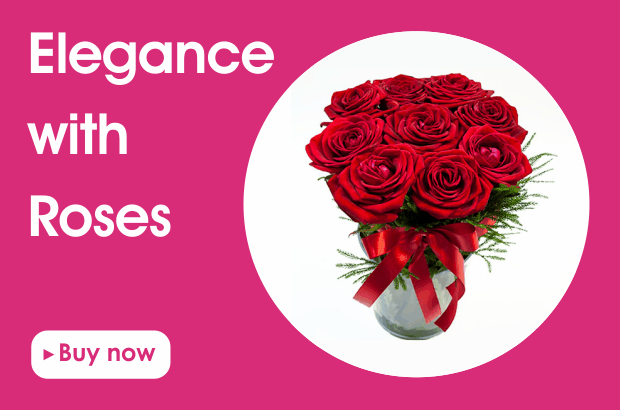 Produto: Banner 2 EN